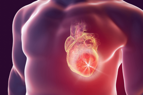 Regenerarea inimii umane: O descoperire revoluționară în medicina regenerativă