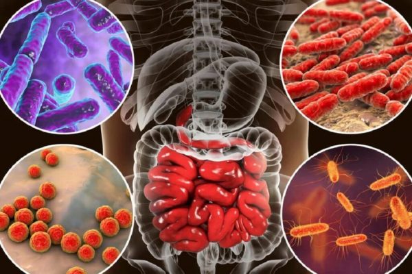 Alimentele Sănătoase și Pericolele Ascunse: Cum Bacteriile Periculoase Ne Amenință Viețile