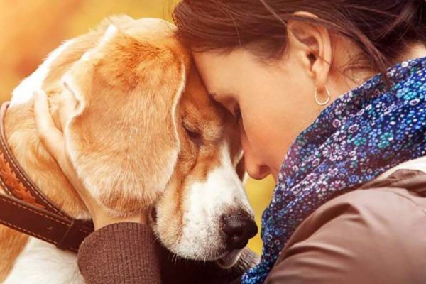 Durerea după pierderea unui animal de companie: O suferință profundă și validată de știință