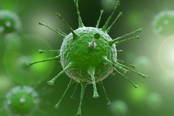 Virusul Nipah: O Amenințare Globală în Contextul Sănătății Publice