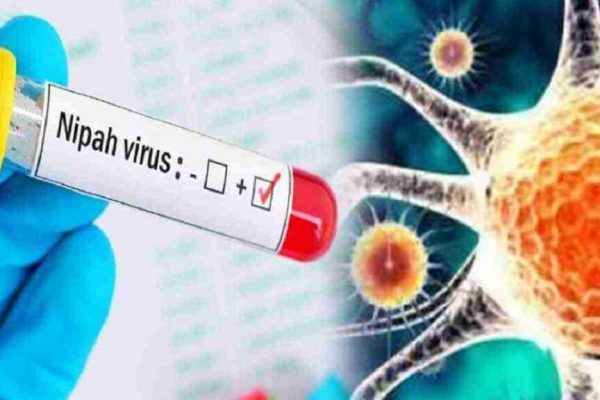 Virusul Nipah: O amenințare mortală pentru călătorii în Asia