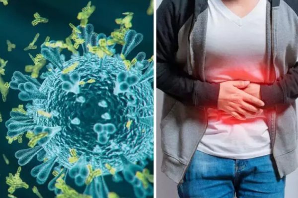 Alimente și Ceaiuri Anti-Parazitare: Ghid Complet pentru Detoxifierea Organismului