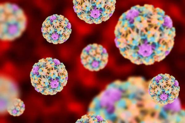 Virusurile și Legătura lor Surprinzătoare cu Cancerul: Avertismentul Laureatului Nobel Harald zur Hausen