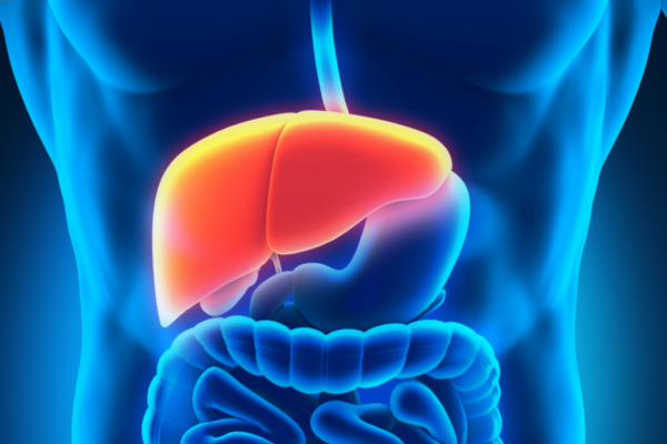 Reducerea proteinelor din dietă: O strategie promițătoare în lupta cu cancerul hepatic și ficatul gras