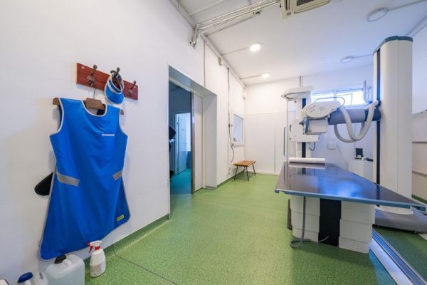 Greva asistentelor din New York: Lecții pentru sistemul medical românesc