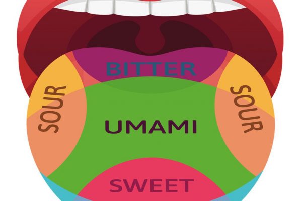 Explorarea Gustului Umami: De Ce Este Irezistibil și Cum Îmbunătățește Alimentația