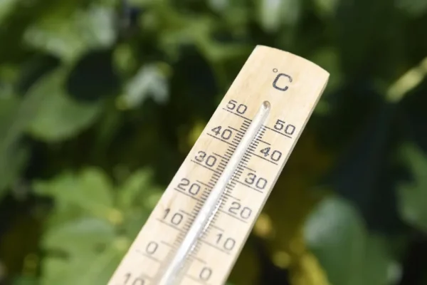 Val de căldură în Europa: Implicațiile schimbărilor climatice asupra vremii în februarie
