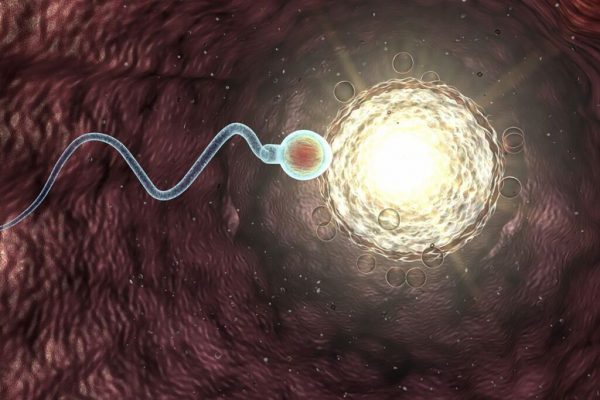 Impactul anotimpurilor asupra fertilității masculine: Spermatozoizii și mișcarea lor sezonieră