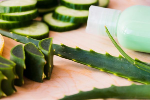 Descoperiri promițătoare: Aloe vera și potențialul său în tratarea bolii Alzheimer