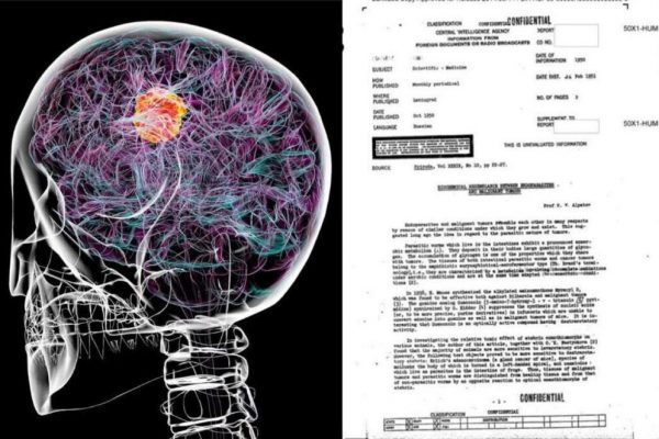 Controversele din spatele unui document CIA despre cancer: O privire asupra cercetărilor ascunse și implicațiile lor