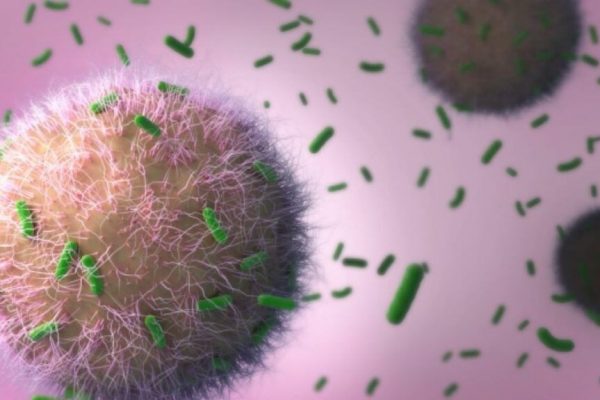 Criza Tuberculozei în Europa: O Atenționare Alarmantă de la OMS