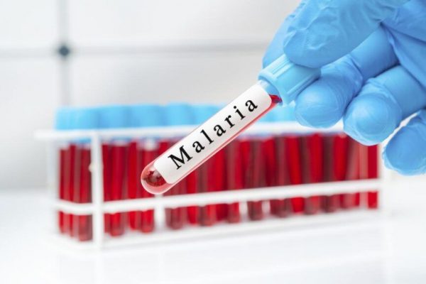 Alarmă sanitară în România: Trei cazuri suspecte de malarie la copii, transferați de urgență la București
