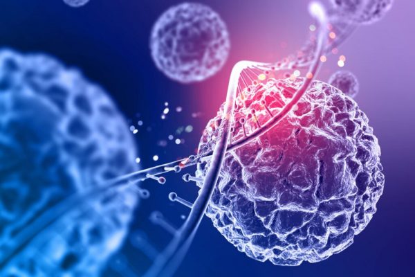 Remediile Naturale în Lupta Împotriva Cancerului: Eficiența unei Botanici Străvechi în Fața Tehnologiilor Moderne