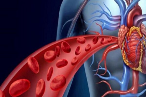 Riscurile administrării simultane a vitaminelor K și E: Ce trebuie să știm pentru o sănătate optimă