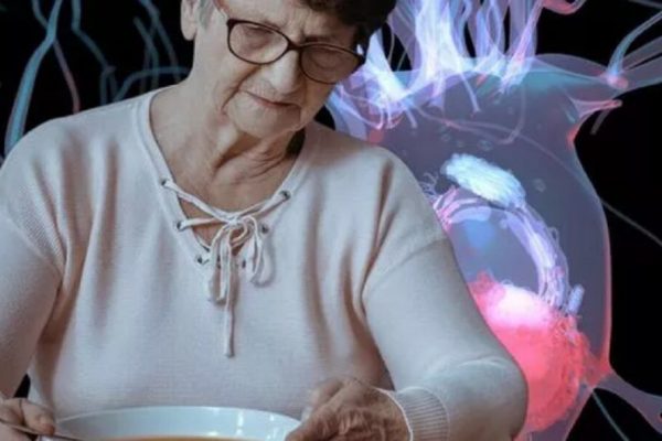 Dieta Mediteraneană: Un Scut Împotriva Demenței și Alzheimerului