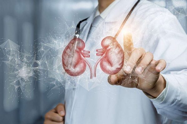 Semnele Ascunse ale Bolilor Renale: Cum să Îți Protejezi Rinichii în Fața Riscurilor