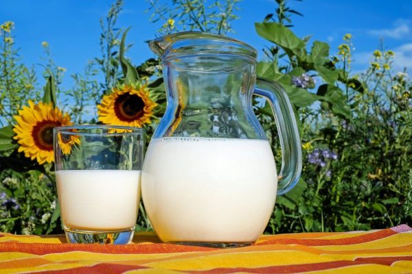 Ingredientele miraculoase din lapte: Cum lactoferina, colostrul și melatonina îți pot transforma sănătatea