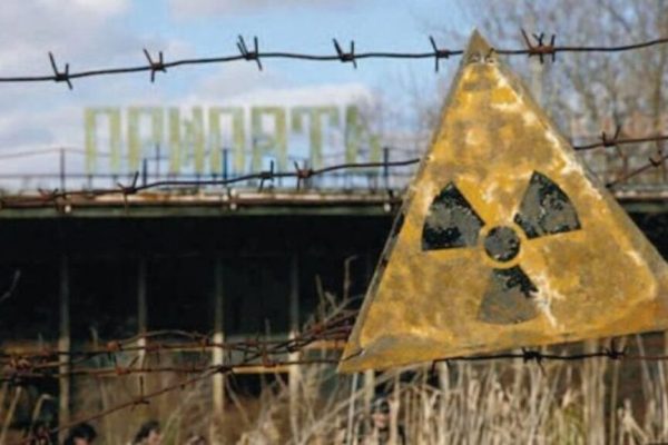 Descoperirea unei noi forme de viață la Cernobîl: Adaptarea la medii extreme și implicațiile sale