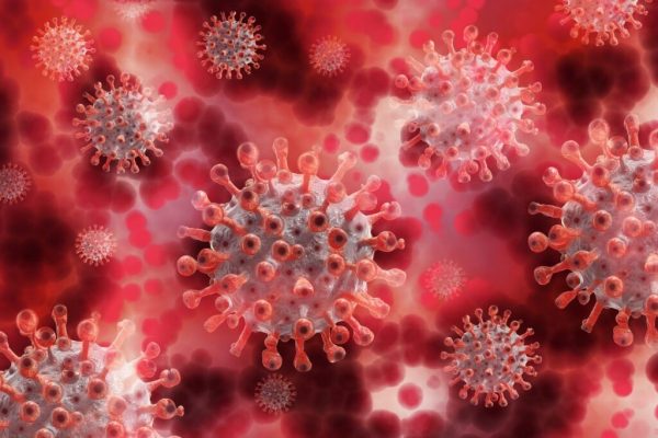 Impactul COVID-19 asupra vârstnicilor: O analiză profundă a pierderilor de viață și a miturilor din spatele statisticilor