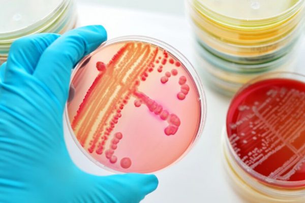 Criza Infecțiilor cu Transmitere Sexuală în Europa: Un Avertisment Urgent pentru Sănătatea Publică