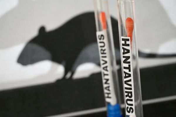 Hantavirus în România: Analiza riscurilor și implicațiilor după primul caz confirmat la Arad