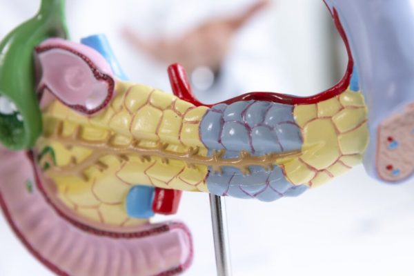 Descoperirea unei Proteine Cruciale în Progresia Cancerului Pancreatic: Implicații și Perspective