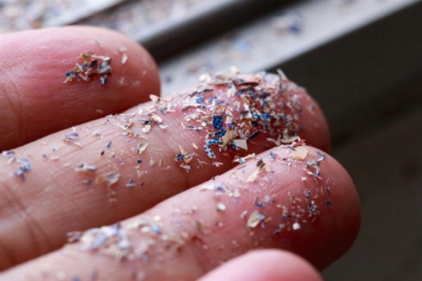 Alimentele Fermentate: O Soluție Promițătoare în Lupta cu Microplasticele din Organism