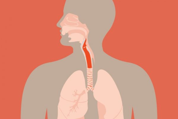 Impactul crescând al cancerului provocat de HPV asupra bărbaților: O analiză detaliată