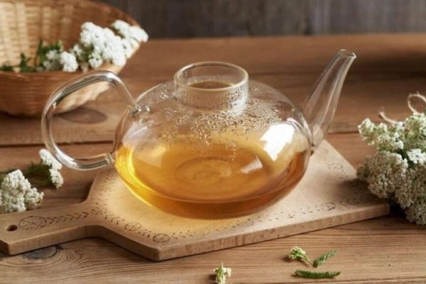 Coada-șoricelului: O Comoară Neobservată în Lumea Plantelor Medicinale