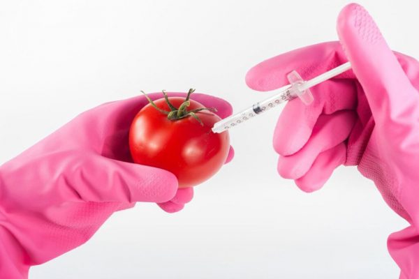 Riscurile Organismelor Modificate Genetic: O Privire Asupra Avertismentelor Cercetătorilor Români