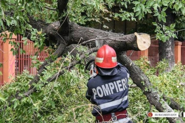 Furtunile din București: Impactul devastator al vremii extreme asupra vieții cetățenilor