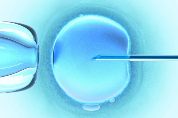 Sprijinul Statului pentru Fertilizarea In Vitro: Vouchere de 15.000 de Lei și Schimbări Esențiale în Programul FIV 2026-2030