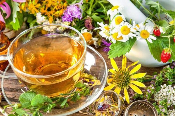 Cicoarea: Între Medicină și Natură – Beneficiile Nebănuite ale „Insulinei Vegetale”