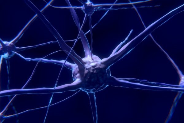 KCL-286: O Nouă Speranță în Lupta Împotriva Bolii Alzheimer prin Repararea Neuronilor și Reducerea Inflamației