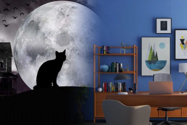 Transformări Astrale: Cum Schimbările Lunare Influentează Zodiile și Sănătatea Nativilor