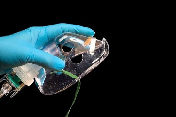 Dioxidul de carbon: O nouă speranță în lupta împotriva Alzheimerului?