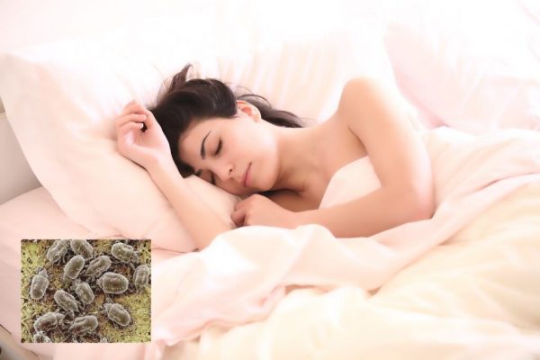 Pericolele ascunse din dormitor: Ce obiecte trebuie să eliminăm pentru a ne proteja sănătatea