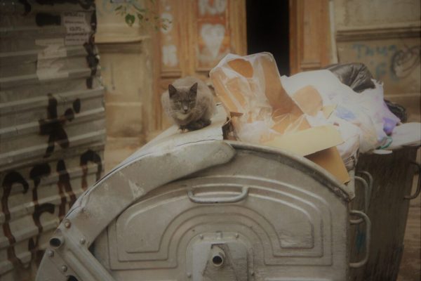 Gunoaie și Superstiții: De ce Este Interzis să Duceți Gunoiul Noaptea în Cultura Românească