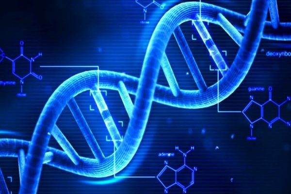 Costurile biologice ale memoriei: Cum învățarea afectează creierul nostru
