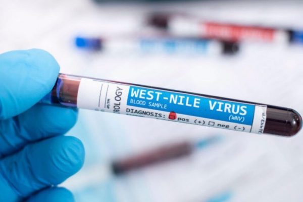 Atenție, români! Creșterea alarmantă a cazurilor de virus West Nile în Grecia și implicațiile pentru turiști