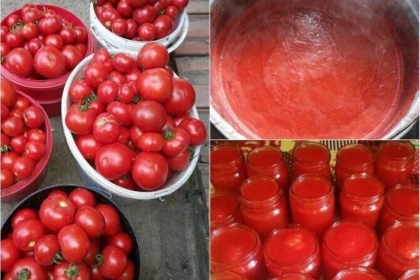 Fermentarea Bulionului: Greșelile Gospodinelor și Soluții pentru Conservarea Corectă
