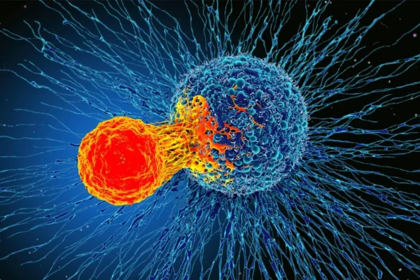 Fructoza ca Mesager al Cancerului: O Privire Detaliată asupra Descoperirilor Științifice