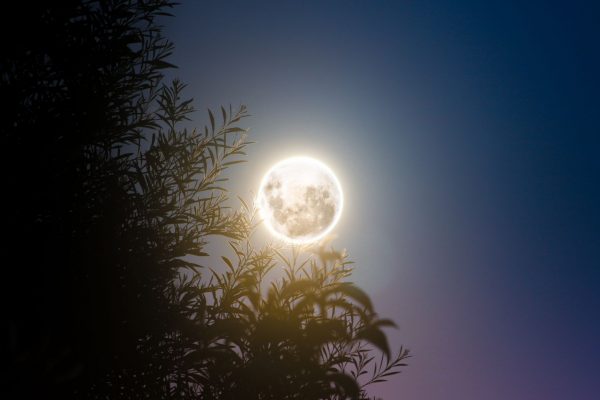 Luna Plină din 26 Septembrie: Revelații și Transformări pentru Patru Zodii