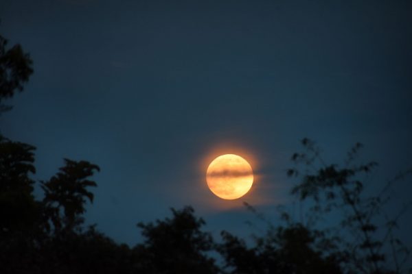 Septembrie 2026: O Lună de Răsturnări Astrologice și Oportunități pentru Zodii