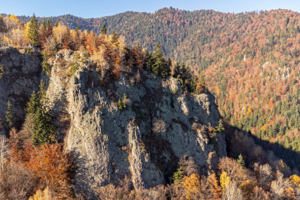 Băile Someșeni: O Întoarcere Promițătoare pe Harta Tratamentelor Balneare din România