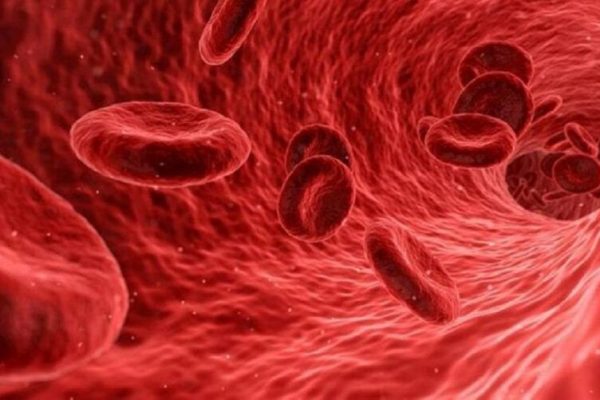 Hemoglobina Normală: Ce Ne Spune Studiul Recent Despre Analizele de Sânge