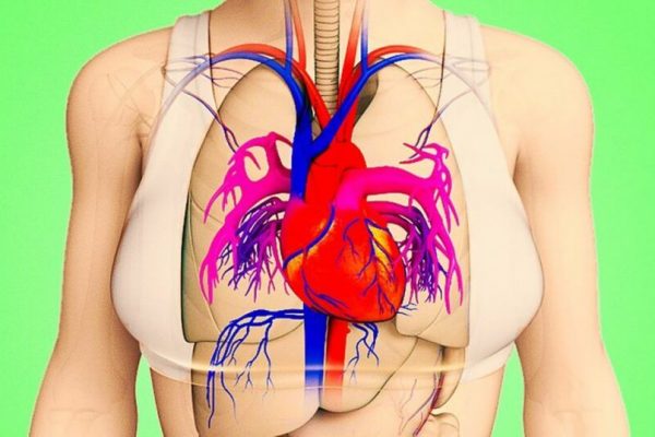 Statinele și prevenția cardiovasculară: Impactul atorvastatinei asupra persoanelor de peste 70 de ani