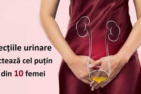 Merișoarele: Fructul Minune în Prevenția Infecțiilor Urinare