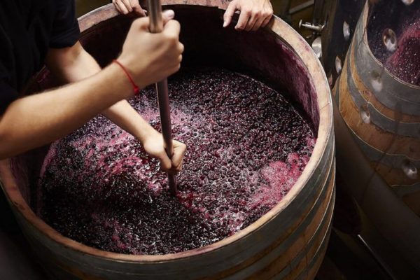 Tragedia din beciul din Vaslui: pericolele ascunse ale fermentării vinului