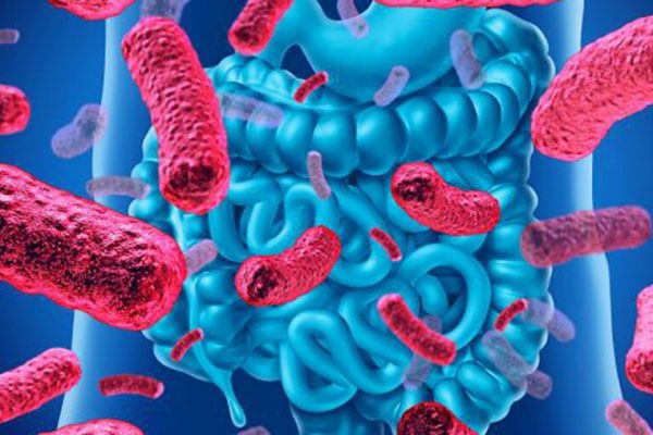 Probioticele: Beneficii, Utilizări și Când să le Alegi